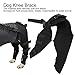 Dog Hip Brace Support for Torn Leg, Dog Knee Braces for Relieves Joint Pain,Better Recovery with Dog Knee Brace (HJ25 Rear Double Leggings Black M)