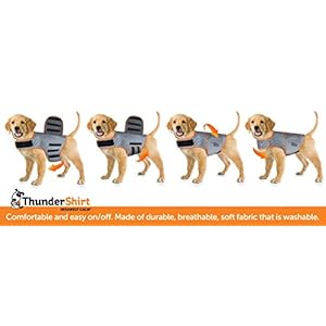 Thundershirtfordogslargefuchsiasportdoganxietyreliefcalmingvest Urban Country Home Decor Thundershirt for dogs large fuchsia sport dog anxiety relief calming vest urban country home decor