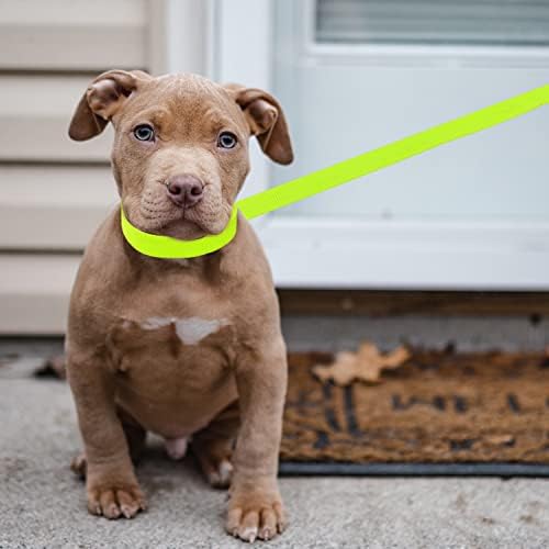 ATICNECH Slip Lead Dog Leash, 10 Pack Colorful 6 FT Pet Leashes with O-Ring - 4