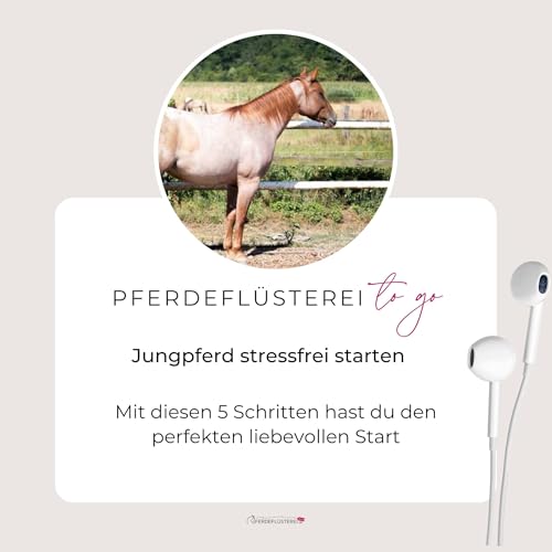 Jungpferd stressfrei starten cover art