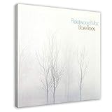 fleetwood mac bare trees rar In den Farboptionen können Sie einen gerahmten Stil auswählen. Bestellen Sie nach Ihren Bedürfnissen.