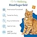 Pet Wellbeing Blood Sugar Gold Cats - Holistic Blood Sugar Support, Pancreas & Liver Health, Gymnema, Fenugreek & Devil’s Club - NASC Certified & Vet-Formulated - 4 oz Liquid