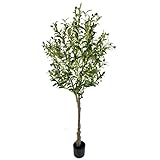 SCNROU Artificial Olive Tree 5.3ft(986leaves) Tall Fake Potted Olive Silk Tree with Planter Large Fa