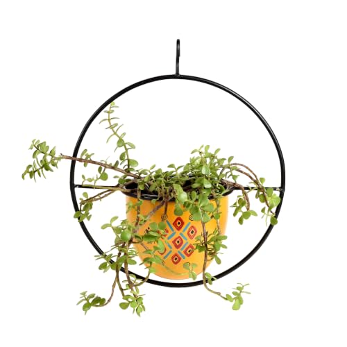 Image of AAKRITI ART CREATIONS Metal Hanging Planter | Handpainted Planter, Modern Art, Yellow Glossy Finish | Outdoor & Indoor Home Decor Items | Room Decoration Artifacts, Flower Pots for Living Room