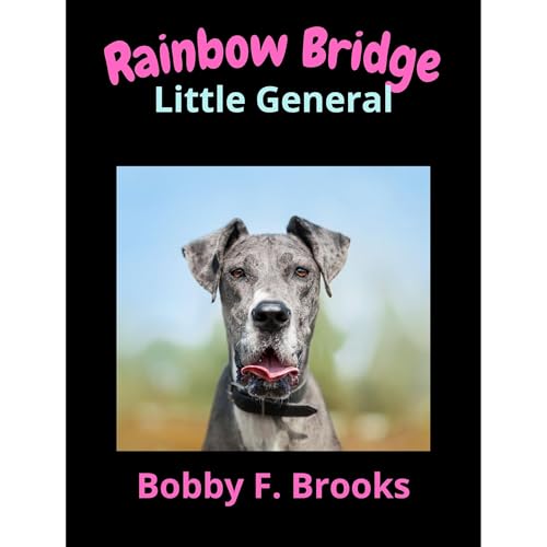RAINBOW BRIDGE [Written by BOBBY F. BROOKS] episode artwork