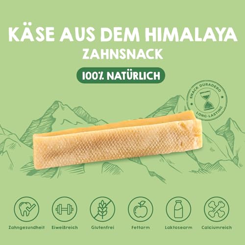 MAIKAI Packung 3 Kauknochen für Hunde L – Käse aus Yakmilch – Hartkäse Kauartikel für Zahnpflege – Langlebiger Kaustab