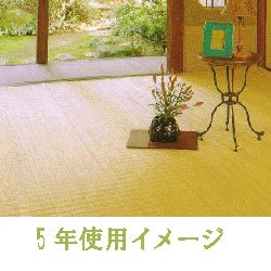 Amazon | 籐むしろ39穴 江戸間6畳 261x352cm ラタンラグ カーペット