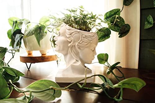Plant Shrine Duo Face Planter - Sculpted Flower Pot Head Planter For Indoor & Outdoor Plants | Unique Planter Pot In Natural Stone Finish With Drainage Hole #TOP4