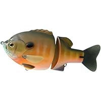 Amazon.co.jp: デプス ブルシューター 160F ＃08リアルラージ