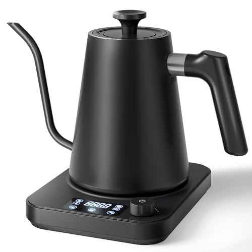 AGORVIO Gooseneck Electric Kettle