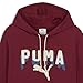 PUMA Men's Graphic Hoodie, Ruby Shimmer Double Up AH25, X-Large