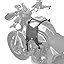 Black Saddle Mount