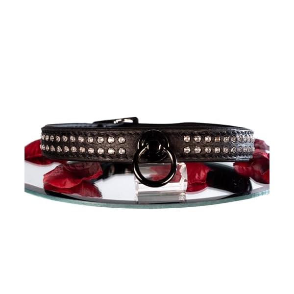 SiaLinda: Halsband echtes Elch Leder mit Strass schwarz 20mm breit