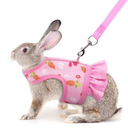 sNoj[n[lXƃ[VAEoh~rbgn[lXƃ[VZbgA킢oj[xXgX^btANZT[ - tFbgqL̎qɂKĂ܂AS(ႢETM)