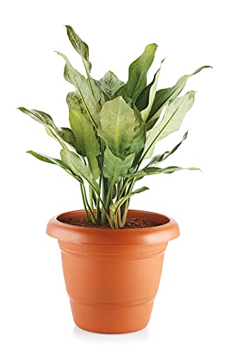 Image of Home Garden Flower Planter Pot Plastic Round Container Teracota Brown- 14 Inch Single Piece