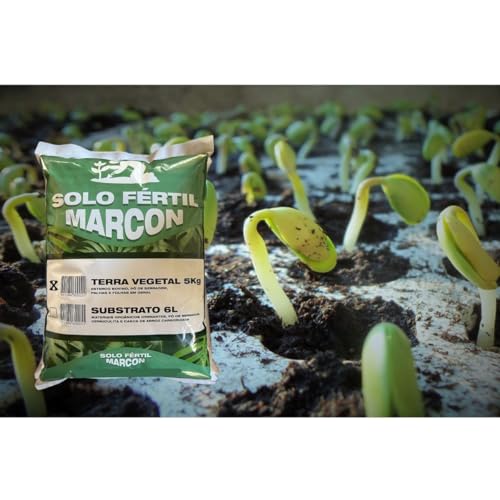 Terra Vegetal 5kg Orgânica Para Plantas Jardins Horta E Vasos