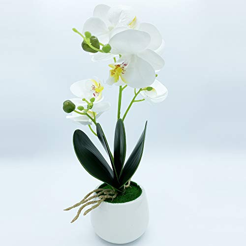 Wellhome orchideeënplant, natuurlijke kleur, keramische pot, wit, 42 cm