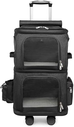 KryZaroLX^[tdwybgobNpbNbLE^peʃxr[J[obO ʋCǍD sEa@KEAœK