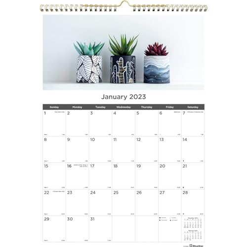 Blueline 2022 Colorful Monthly Wall Calendar, 12 Months, January to