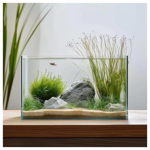 Vimvins 10 Gallon Glass Fish Tank, Easy to Maintain Small Aquarium for Betta/Goldfish/Snails/Shrimp and Aquatic Planting.