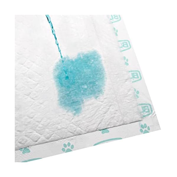 Blue Premium Tapete HigiÃªnico Para CÃ£es 30 Unidades - Imagem 7