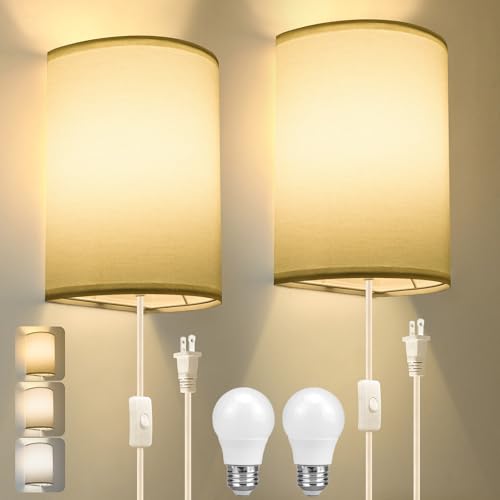 Beser·Win Plug in Wall Sconce, Industrial Wall Lamp with Plug in Cord