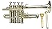SHREYAS, Piccolo Trumpet Brass With Hard Case And mouthpiece