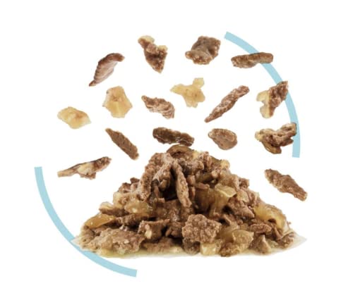 Royal Canin Sensory Feel Jelly | 12 x 85 g | Nassfutter für ausgewachsene Katzen | Stückchen in Gelee | Zur Anregung des Mundgefühls | Instinktiv bevorzugt
