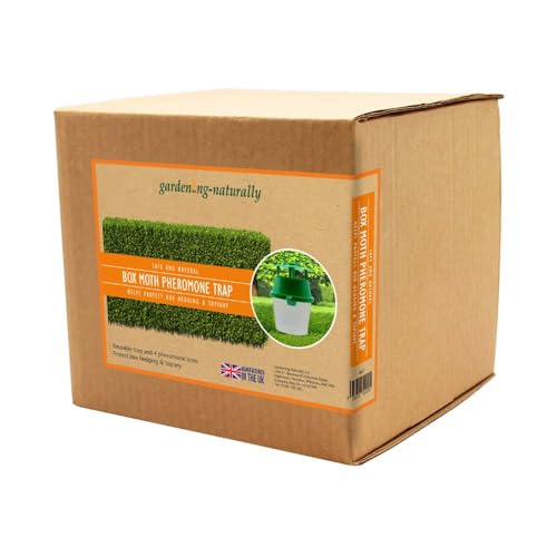 Box Tree Moth Trap Pheromone Trap and Refill for Buxus Hedges