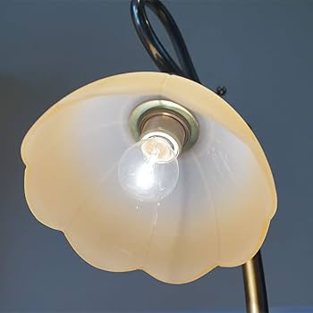 Amazon.co.jp : カパーニ社 古木 テーブルランプ イタリア製 卓上