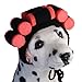 Hund und günstig Kaufen-puzzlegame Hundemütze | Hund Winter Wollmütze Coole Katze Kopfbedeckung Welpenkostü | Hund Cosplay Perüc | Lustiges Haustier-Katze-Strickhut- -Zubehör für den Weihnachts-Haustier-Geburtstagsurlaub