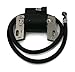 The ROP Shop Ignition Coil for Briggs & Stratton fits 243452, 243457, 250412, 250417, 252411