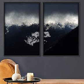 signwin 2 Piece Framed Canvas Wall Art Foggy...