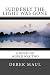 Suddenly the Light Was Gone: a WW2 novel