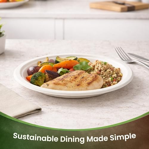 Image of Eco Aaroyaa Round Bagasse 9-Inch Disposable Plates - Eco-Friendly Disposable Plate for Food - Biodegradable Use and Throw Plates - Strong and Sturdy, Oil & Water Resistant (Pack of 25)