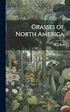 Grasses of North America