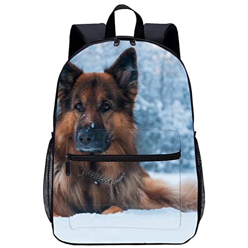 Mochila escolar de Collie 3D ideal para el colegio y excursiones de fin de semana
