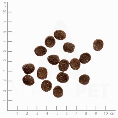 Wildes Land - Huhn - Classic Adult Trockenfutter für Katzen - 1,2kg – Ansicht 2