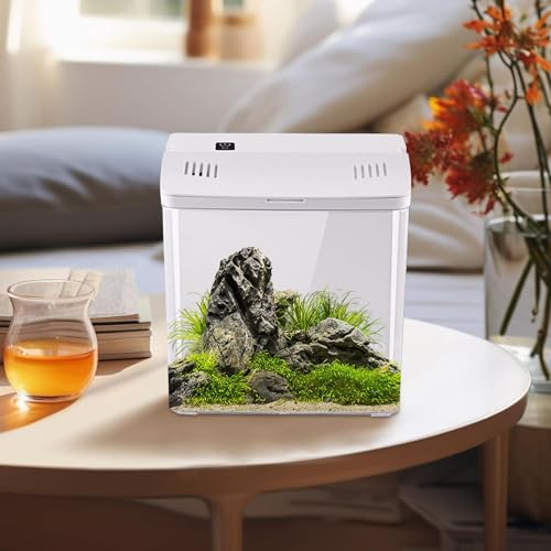 Aquarium de bureau mini pour crevettes et méduses