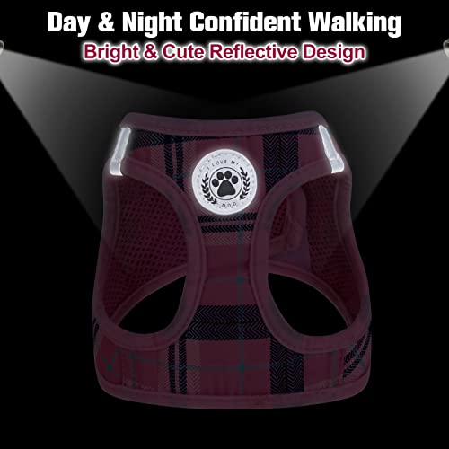 Beautyzoo Small Dog Harness And Leash Set,Step In No Chock No Pull Soft Mesh Dog Harnesses Reflective For Extra-Small/Small Medium Puppy Dogs And Cats, Plaid Dog Vest Harness For Xs S Pets, Pink M #TOP5