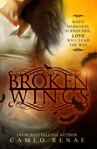 Broken Wings (Hidden Wings #2)