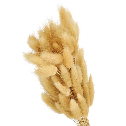 PATIKIL 15.7 Pulgadas Colas de Conejo Flores Secas, 80 Piezas Decoración de Hierba de Pampas Cola de Conejo Hierba de Pampas Natural a Granel Esponjosa Falsa Hierba de Pampas Seca , Beige