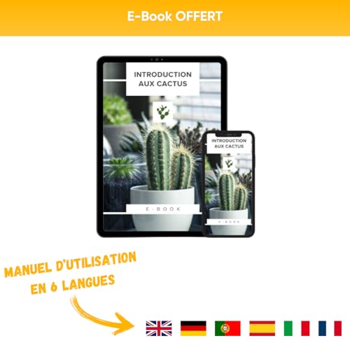 NOPALIA® Kaktus-Set – Mini-Kaktus-Set – Mini-Kakteen – ausgefallene Geschenkidee – Zimmerpflanze – Set bereit zum Wachsen – Garten im Innenbereich – Bürodekoration – Sukkulenten