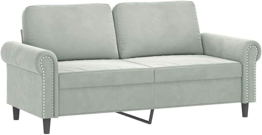 2-Seater Sofa Light Grey Velvet (100% Polyester) Living Room Furniture