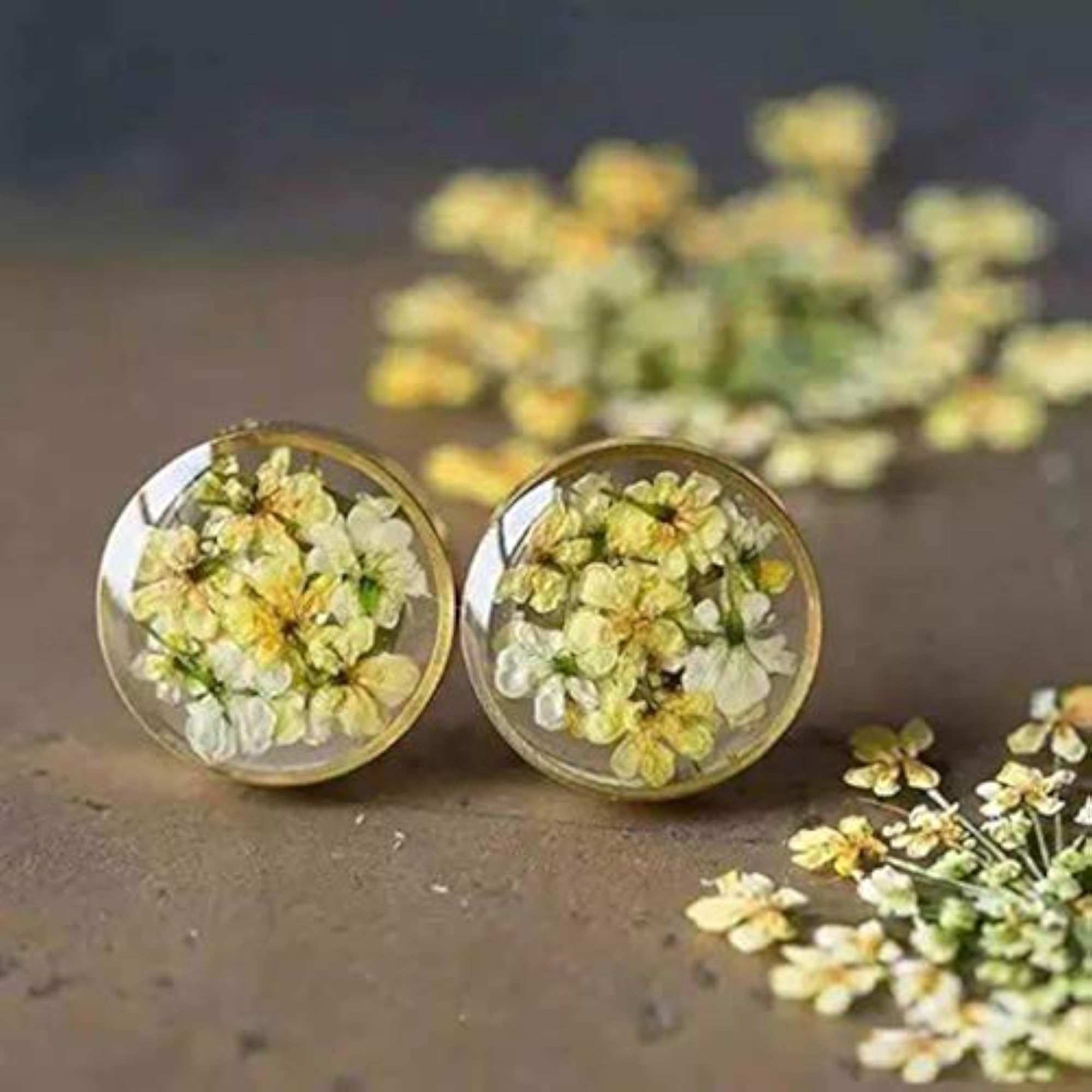 10PCS Daisy Pressed Flower Decorative Assorted Dried Flower Kit