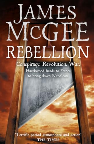 Rebellion view 2