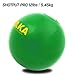 AKA SPORTS GEAR Cast Iron Shot Put (Weights 2.76kg to 7.2kg)(6lb to 16lb) - Great for Outdoor Track & Field Equipment (5.45kg/12lb)