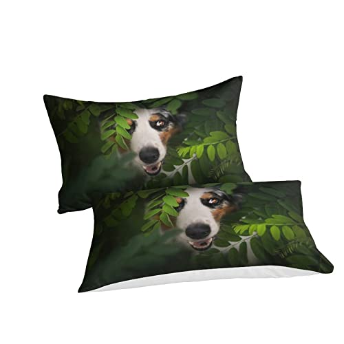 Housse de couette imprimée en 3D motif Berger Australien ensemble de literie 3 pièces 200x200