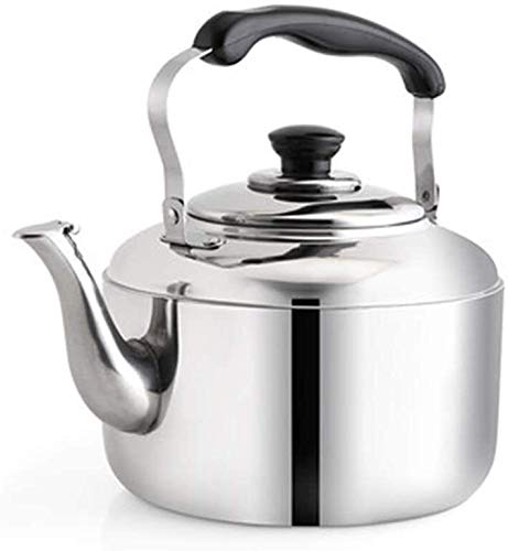 Whistling kettle gaz 4L durable et facile à nettoyer en acier inoxydable robuste