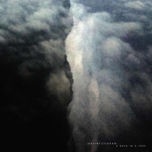 A Duck in a Tree 2025-10-04 | Where the Long Winds Meet Podcast Por  arte de portada